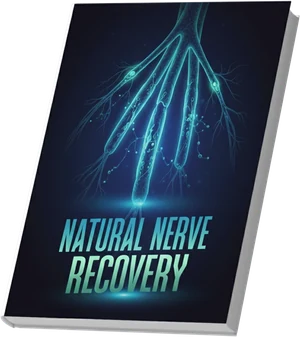 Natural Nerve Recovery bonus guide cover